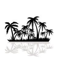 Palm Trees N10