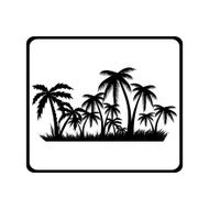 Palm Trees N11