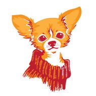 Chihuahua dog - vector illustration N3