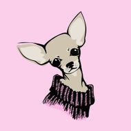 Chihuahua dog - vector illustration N4