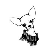 Chihuahua dog - vector illustration N5