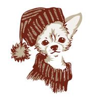 Chihuahua dog - vector illustration N8