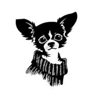 Chihuahua dog - vector illustration N11