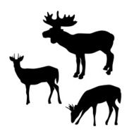 DeerMoose