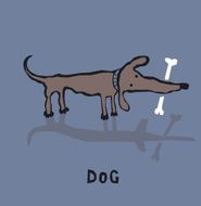Funny Dog With Bone N2