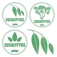 Eucalyptus N2
