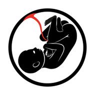 Fetus Icon Isolated on White Background Vector