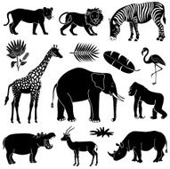 African Animals N15