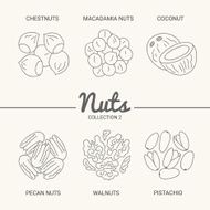 Chestnuts macadamia nuts coconut pecan walnuts and pistachio