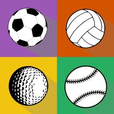 Sport balls vector set