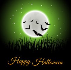 Halloween greeting card N38