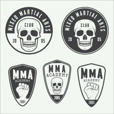 Set of vintage mixed martial arts logo badges and emblems N3