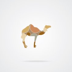 camel icon N9