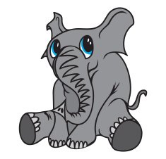 Elephant N62
