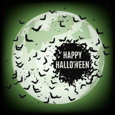 Halloween Night N12