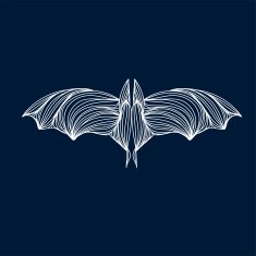 Bat N6