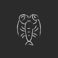 Lobster icon drawn in chalk N2