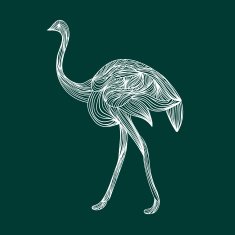 ostrich N4