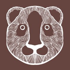 bear N46