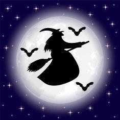 silhouettes of witches and bats on a background the moon