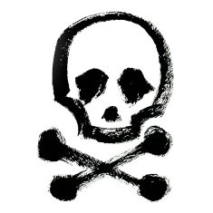 Scull and bones