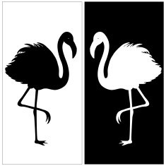 White and black silhouette of flamingos N2