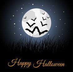 Halloween greeting card N52