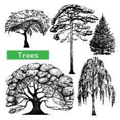 Trees hand drawn black icons set