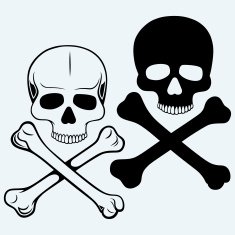 skull and crossbones N30