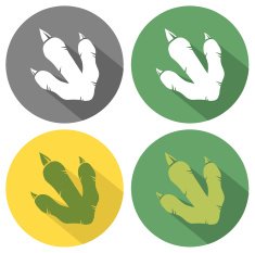 Collection of Dinosaur Paw - 5