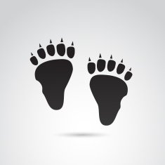Animal foot print icon
