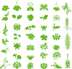 Green floral elements