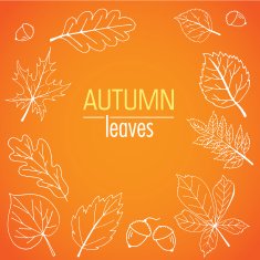 Abstract hand drawn autumn leaves isolated on the orange backgro N2