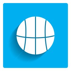 Basketball Ball N15