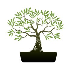 Bonsai Olive Tree Illustration N2