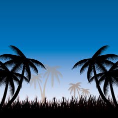 Summer background whit palm trees N2