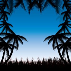 Summer background whit palm trees N5