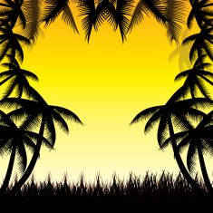 Summer background whit palm trees N6