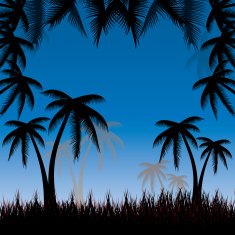 Summer background whit palm trees N7