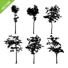 Tree silhouettes vector N7