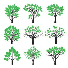 Set of plants trees and green leafs N2