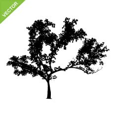 Tree silhouettes vector N11