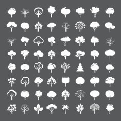 Set of White Trees N2