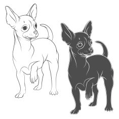 Vector drawing of a chihuahua
