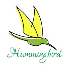 Green hummingbird with pointed wings N2