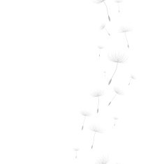 Dandeliom background N2