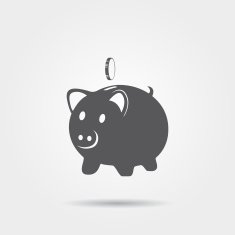 Piggy Bank Icon N10