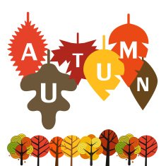 Autumn is coming illustration concept