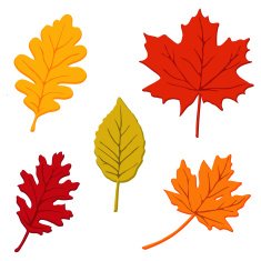 Colorful set of autumn leaves isolated vector illustration