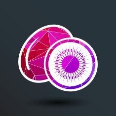 Kiwi fruits closeup icon isolated art logo design N4